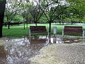 Hochwasser (37)